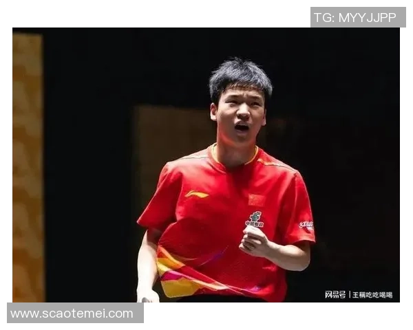 杭州乒乓球队在全国速度排行榜中荣登第十位展现出强劲实力与潜力