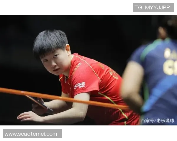 武汉乒乓球队配合表现的数据分析与战术优化研究 武汉乒乓球队配合表现的数据分析与战术优化研究