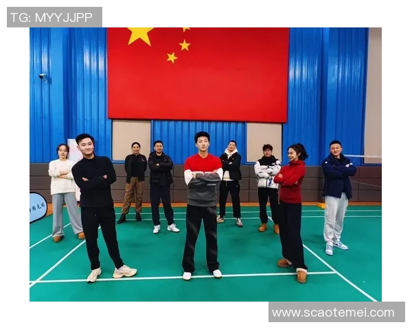 武汉羽毛球队的节奏与魅力：聚焦羽毛球运动的未来发展与挑战