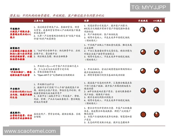 深圳篮球队实力分析与未来发展潜力的深度探讨 深圳篮球队实力分析与未来发展潜力的深度探讨