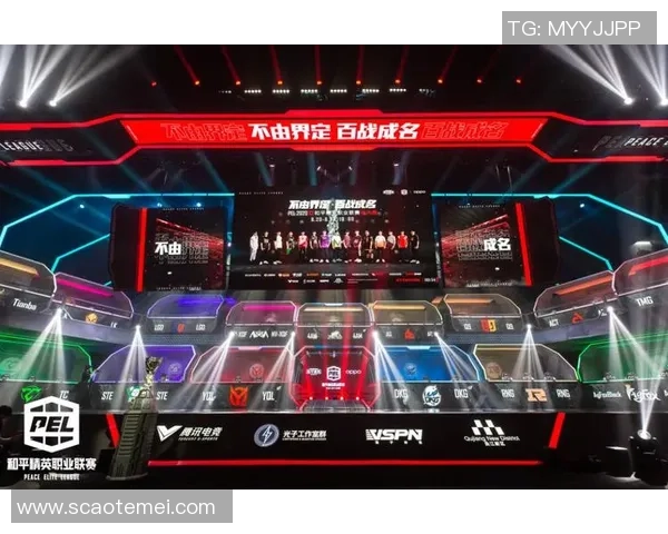 最新和平精英战术TOP10：RNG领跑