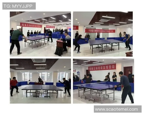 吴敏专访:回顾乒乓球历程 吴敏专访:回顾乒乓球历程