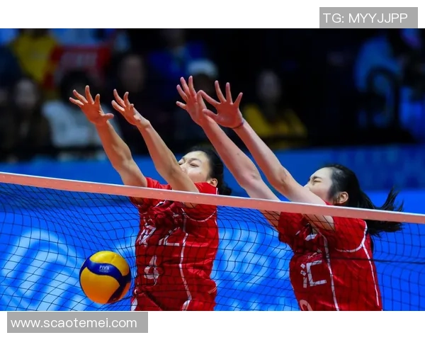 2026排球团队协作排行榜:深圳排球队位居第6名_1 2026排球团队协作排行榜:深圳排球队位居第6名_1