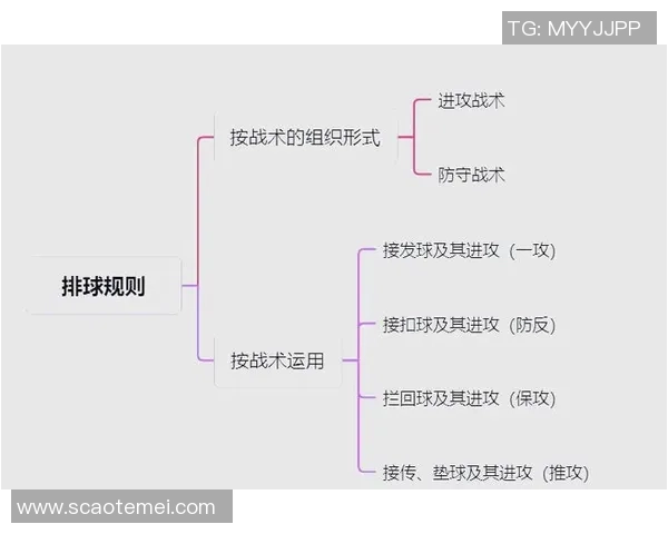 排球专题：聚焦北京排球队的战术