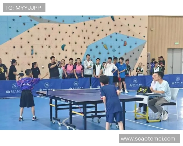 聚焦乒乓球：西安乒乓球队的团队协作话题